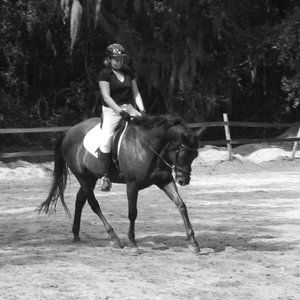 Meet your Posher, Elena